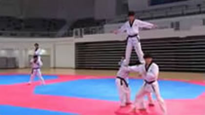 Taekwandowon