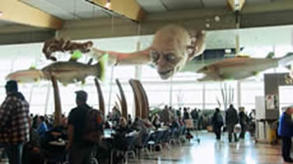 Airport with a difference