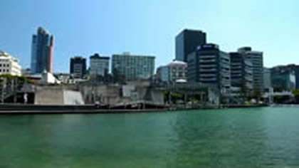 Wellington Introduction