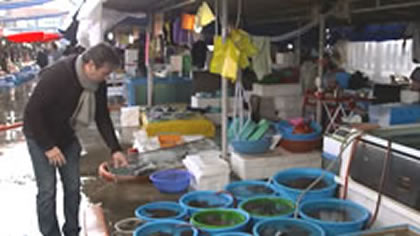 Seafood Market