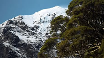 Mt Aspiring National Park
