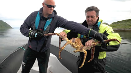 Best of Explore &ndash; King Crab Cooking